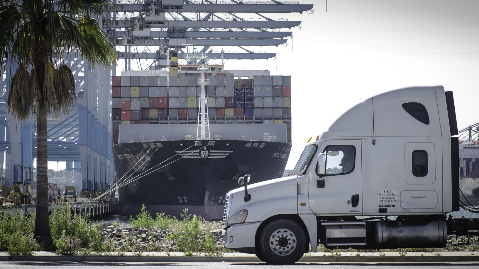 Data reveals unprecedented nature of US import surge Data reveals unprecedented nature of US import surge