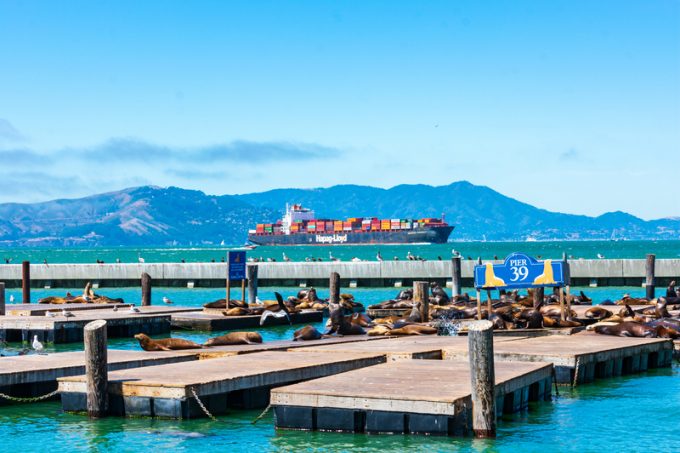 Freight rate 'contagion' will bring a two-year 'profit bonanza' for ocean carriers