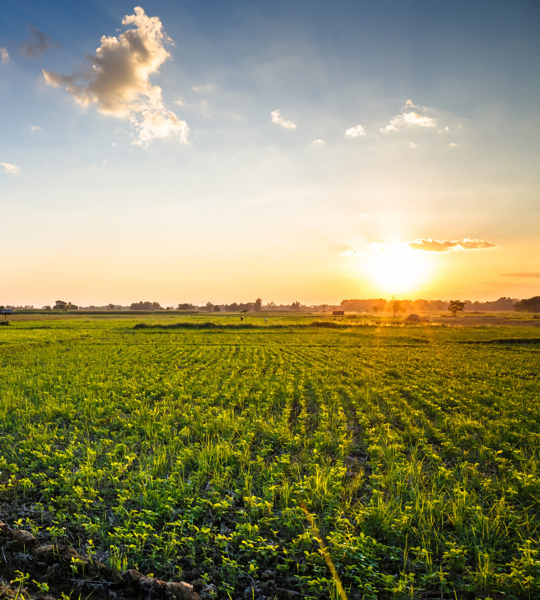 Crackdown on Foreign Truckers Threatens US Farm Labor