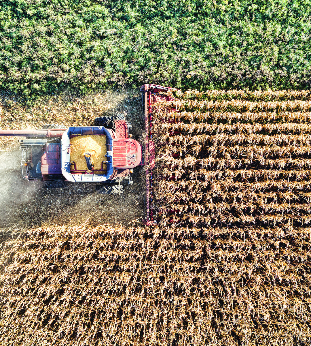 U.S. Ag Exporters Hoping to Move On from 2025's 'Self-Inflicted Wounds'