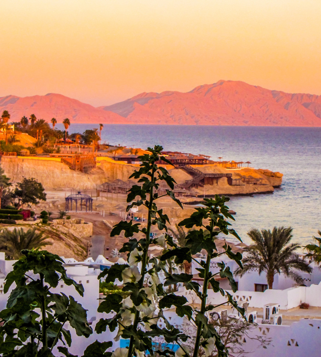 Egypt Opens New Semiautomated Red Sea Terminal as Suez Traffic Grows