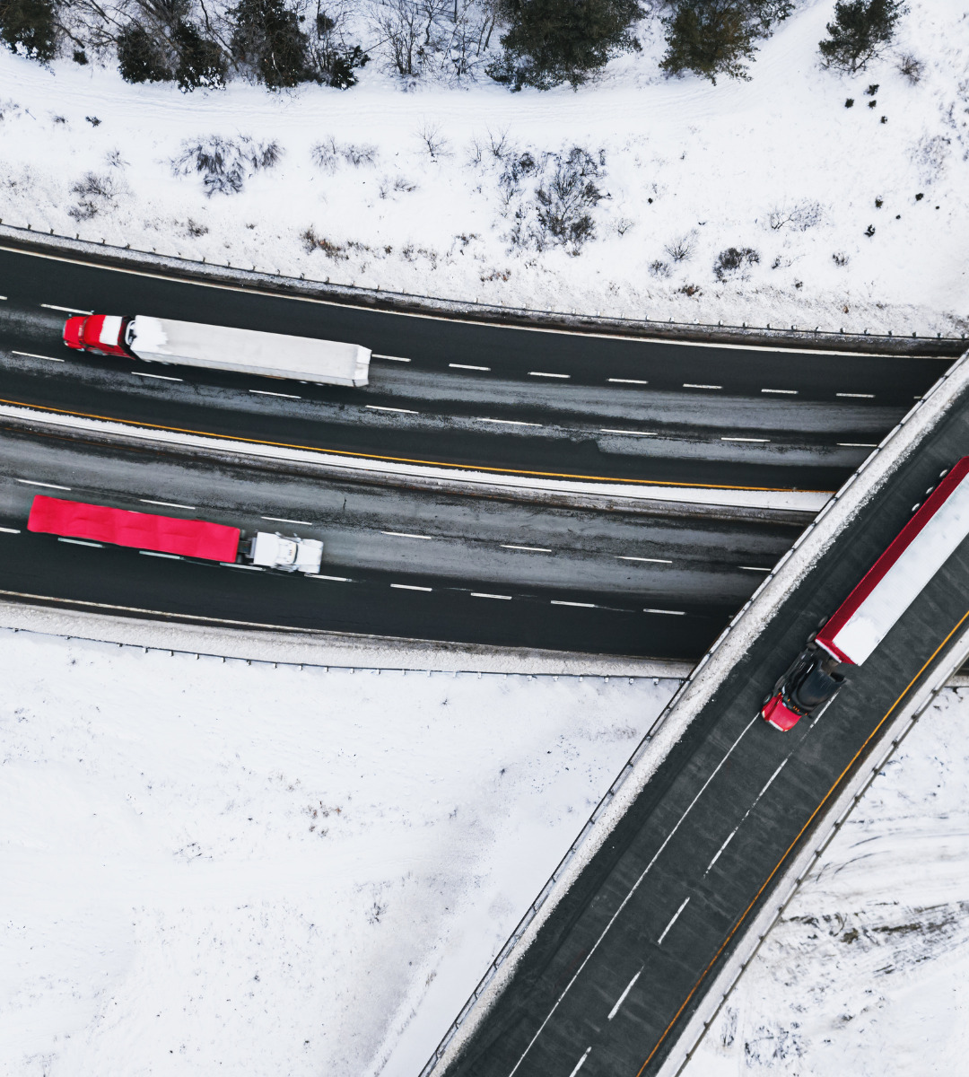 New Bill Takes Aim at 'Chameleon Carriers' in Trucking